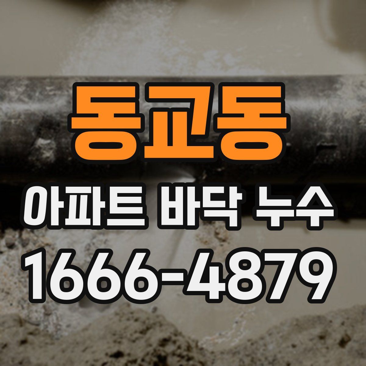 동교동 아파트 바닥 누수