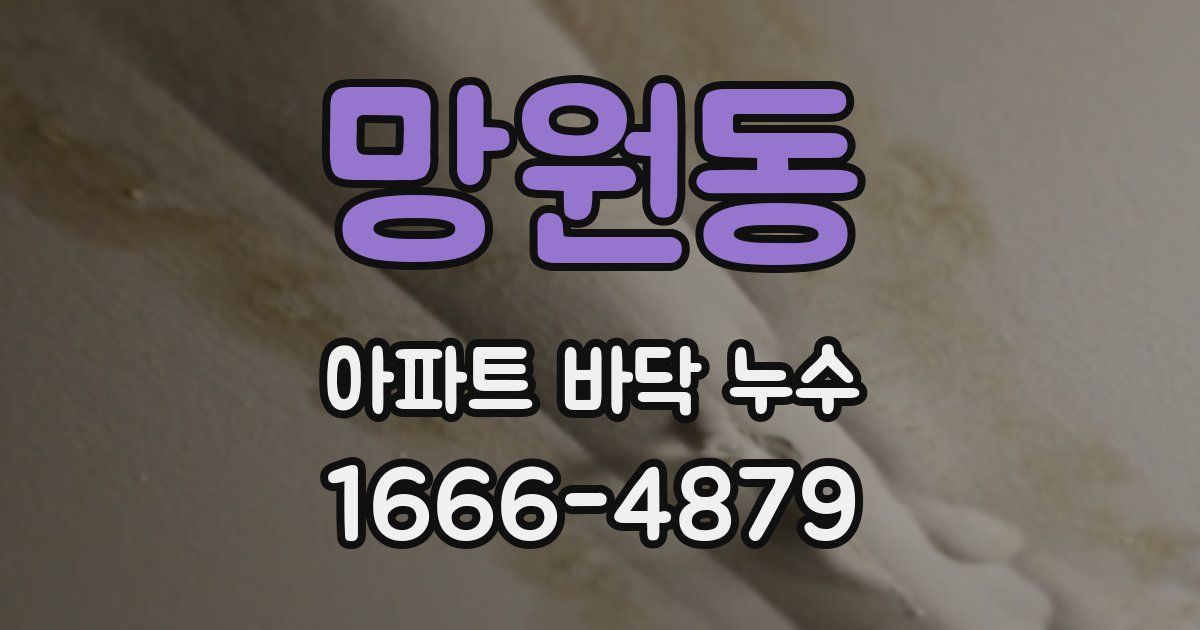 망원동 아파트 바닥 누수