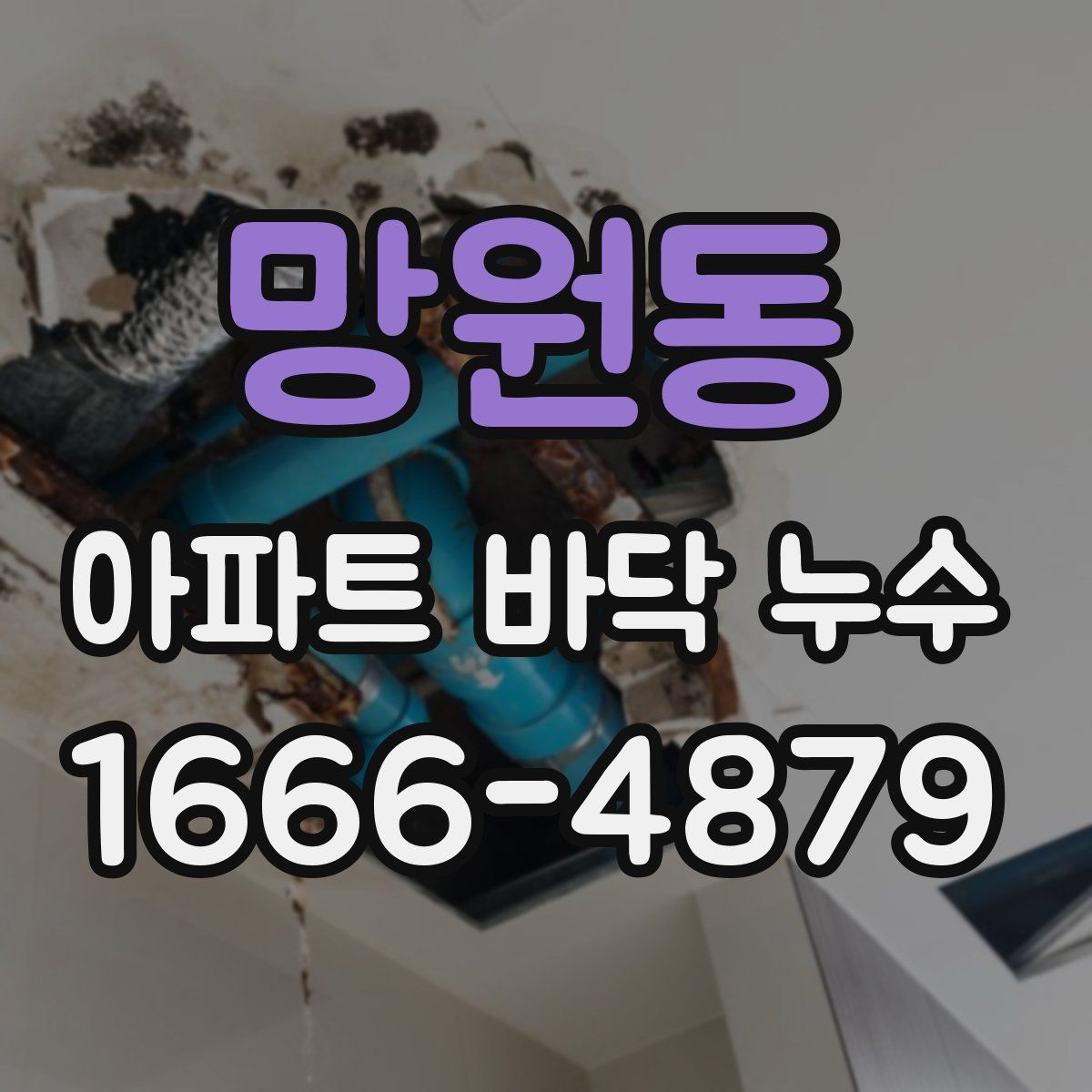 망원동 아파트 바닥 누수