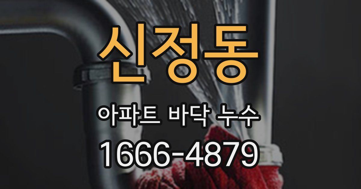 신정동 아파트 바닥 누수