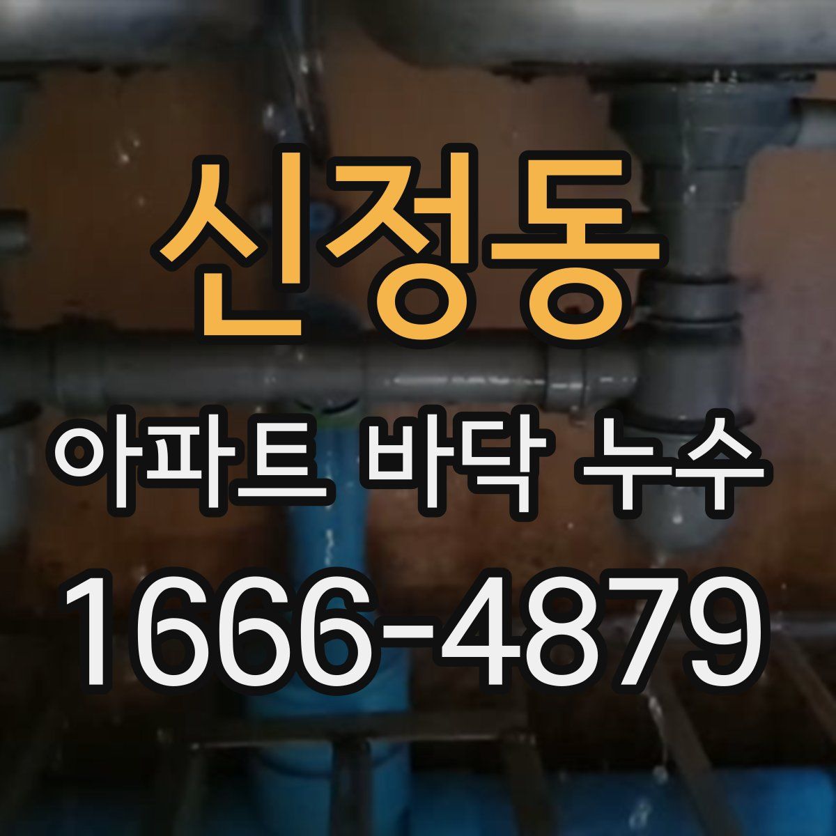 신정동 아파트 바닥 누수