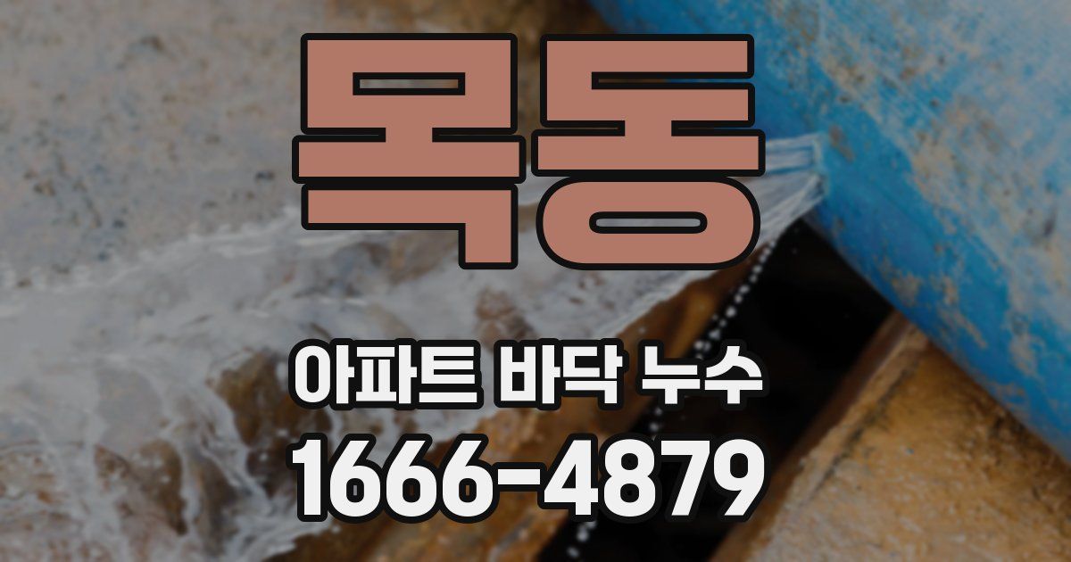 목동 아파트 바닥 누수
