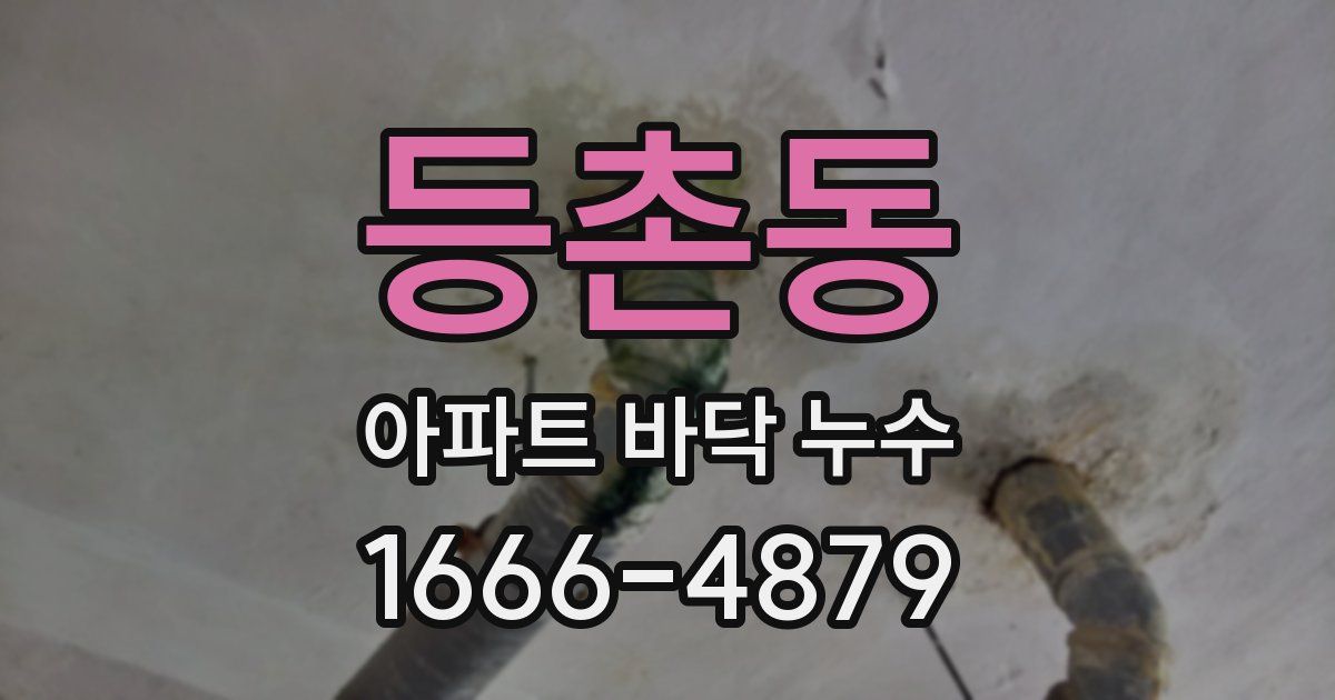 등촌동 아파트 바닥 누수