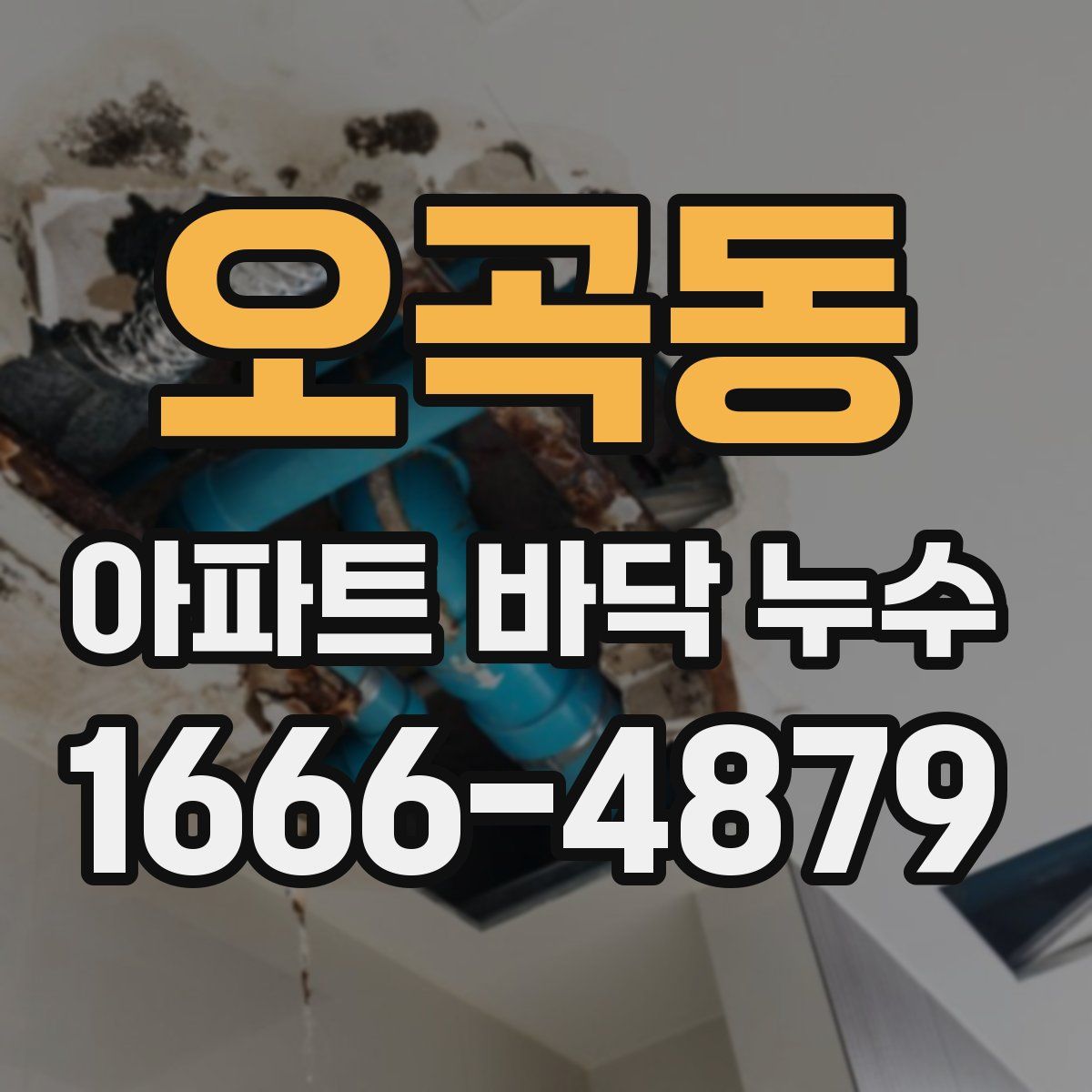 오곡동 아파트 바닥 누수