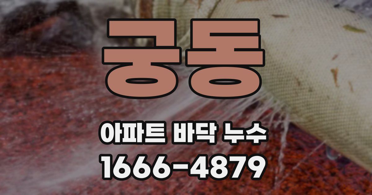 궁동 아파트 바닥 누수