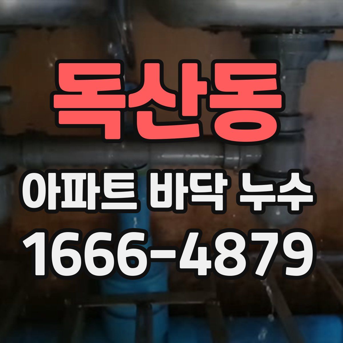 독산동 아파트 바닥 누수