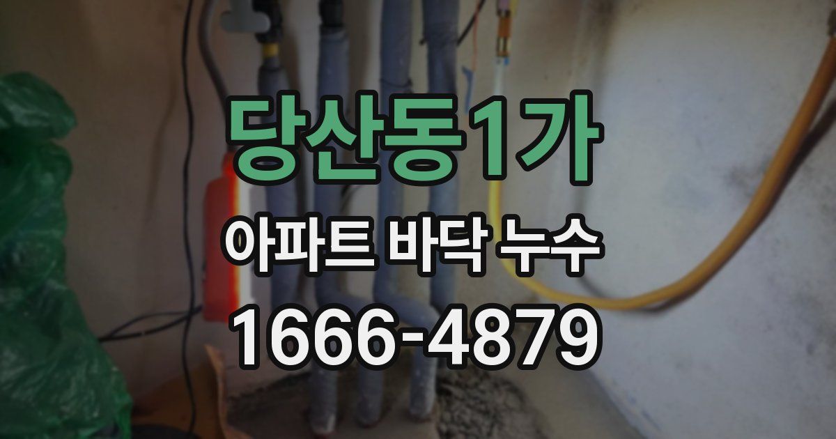 당산동1가 아파트 바닥 누수