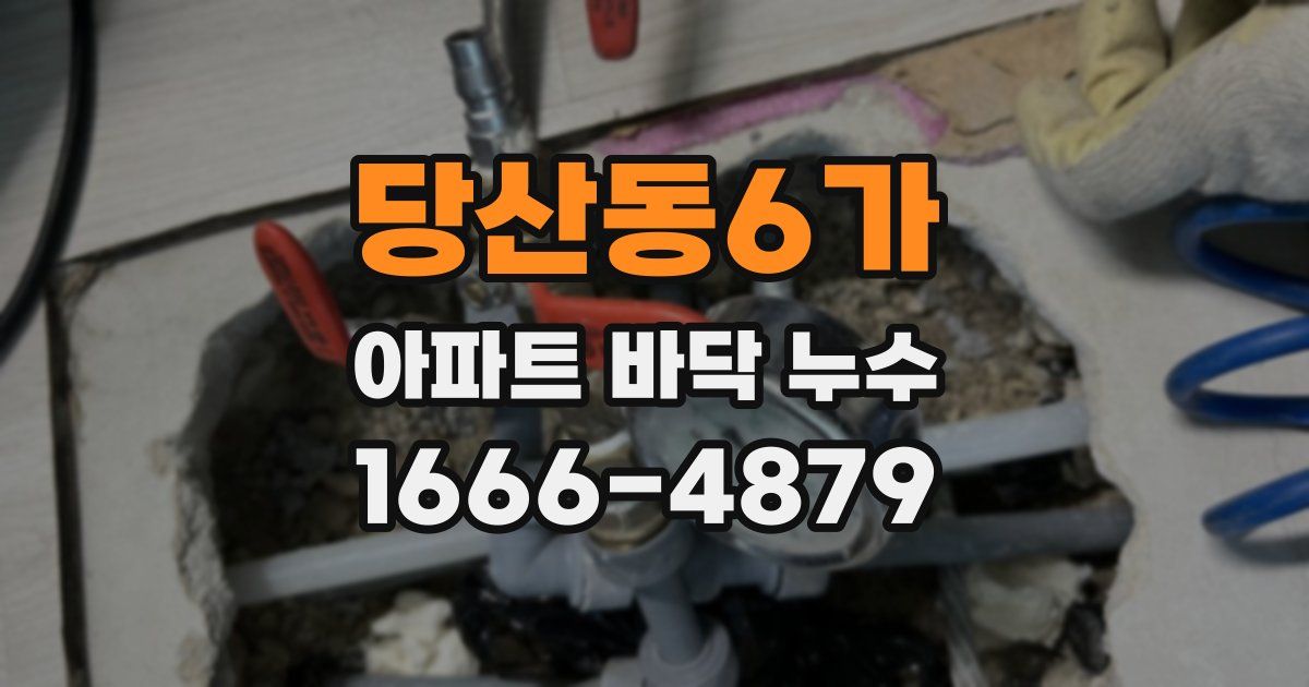 당산동6가 아파트 바닥 누수