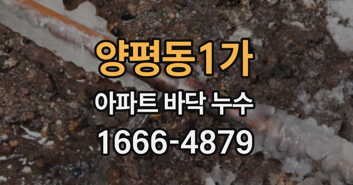양평동1가 아파트 바닥 누수