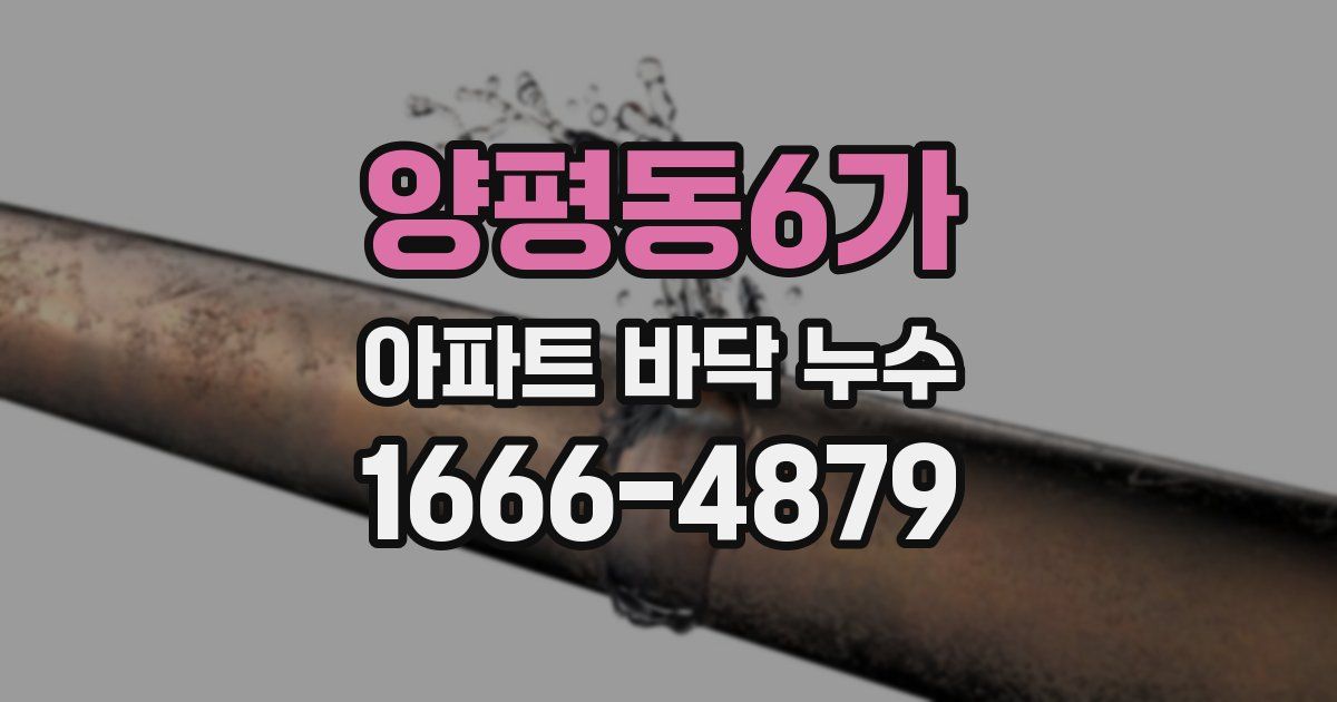 양평동6가 아파트 바닥 누수
