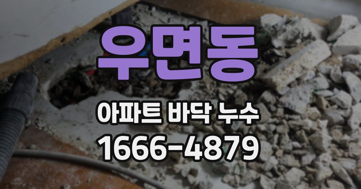 우면동 아파트 바닥 누수