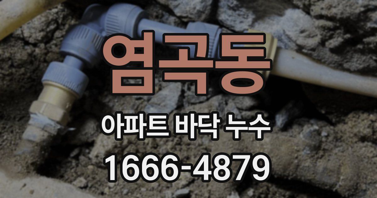 염곡동 아파트 바닥 누수