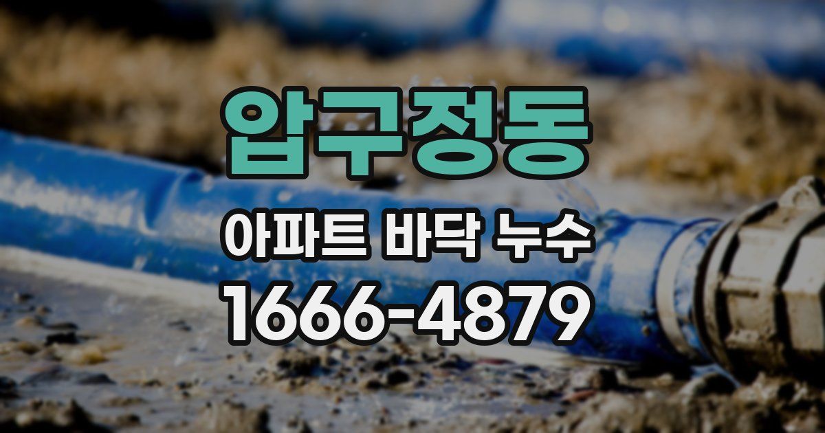 압구정동 아파트 바닥 누수