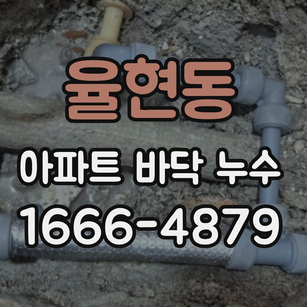 율현동 아파트 바닥 누수