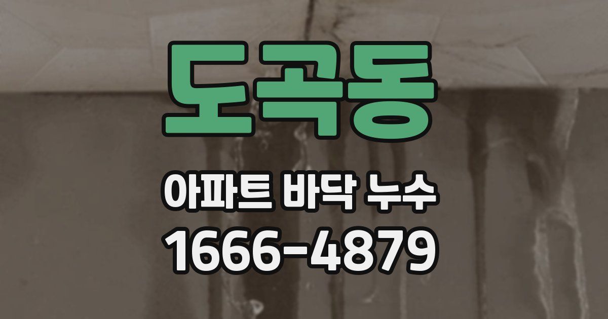 도곡동 아파트 바닥 누수