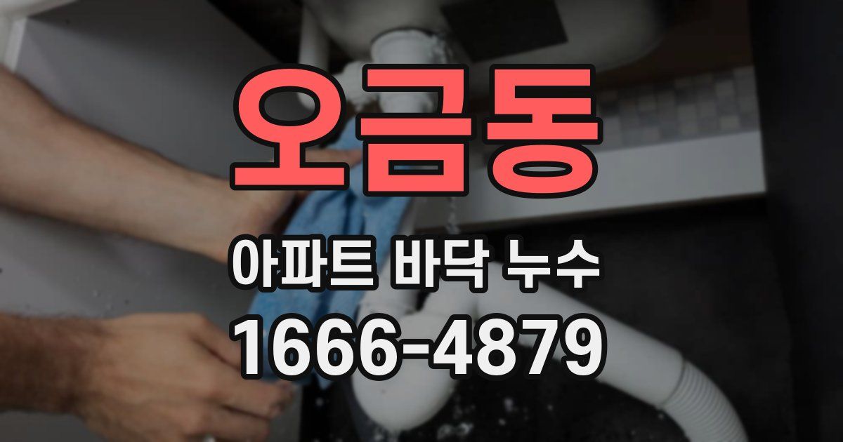 오금동 아파트 바닥 누수
