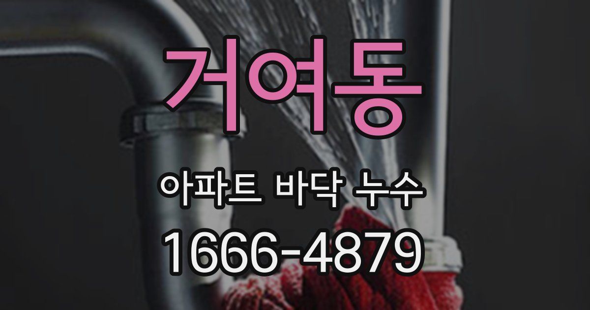 거여동 아파트 바닥 누수