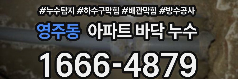 영주동 아파트 바닥 누수
