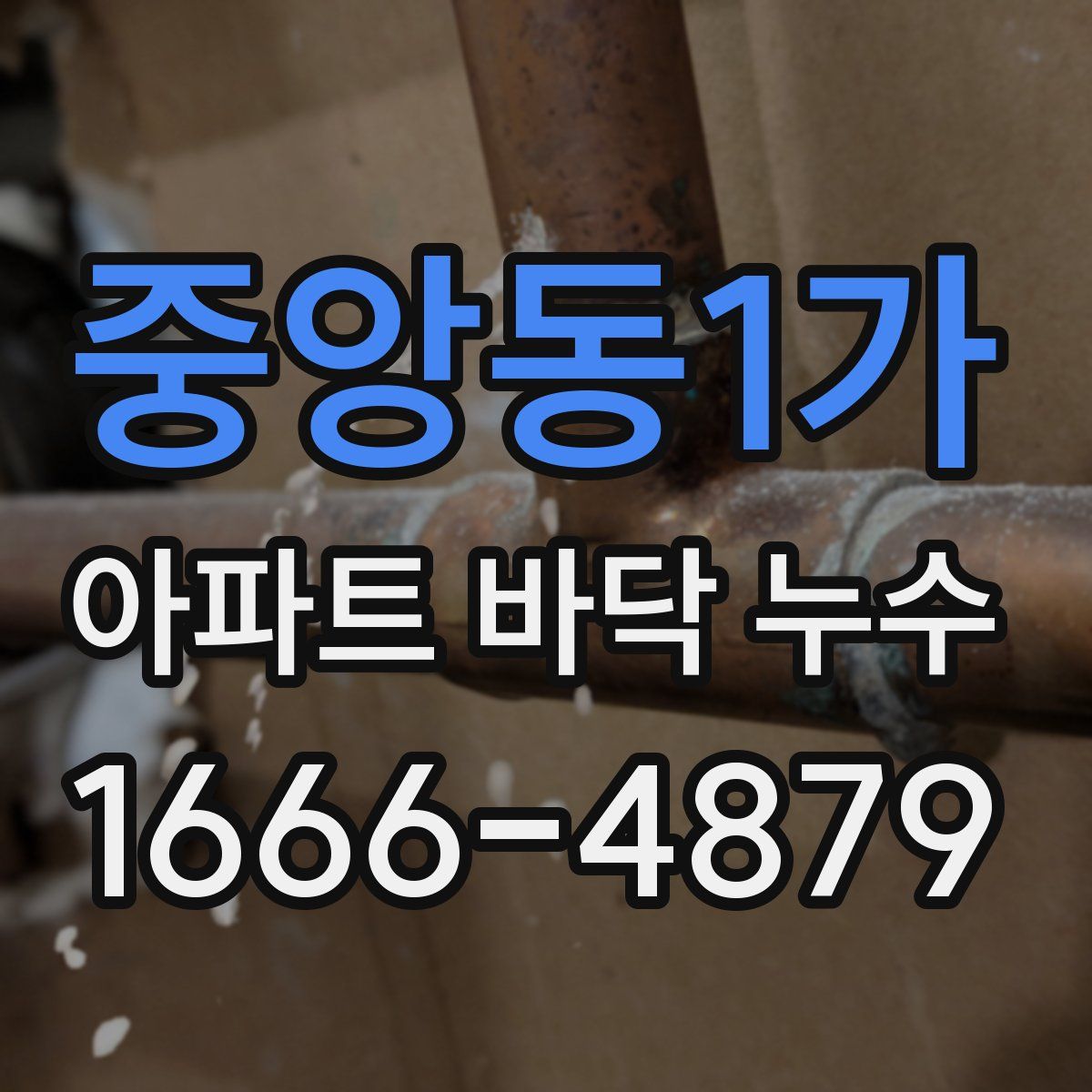 중앙동1가 아파트 바닥 누수