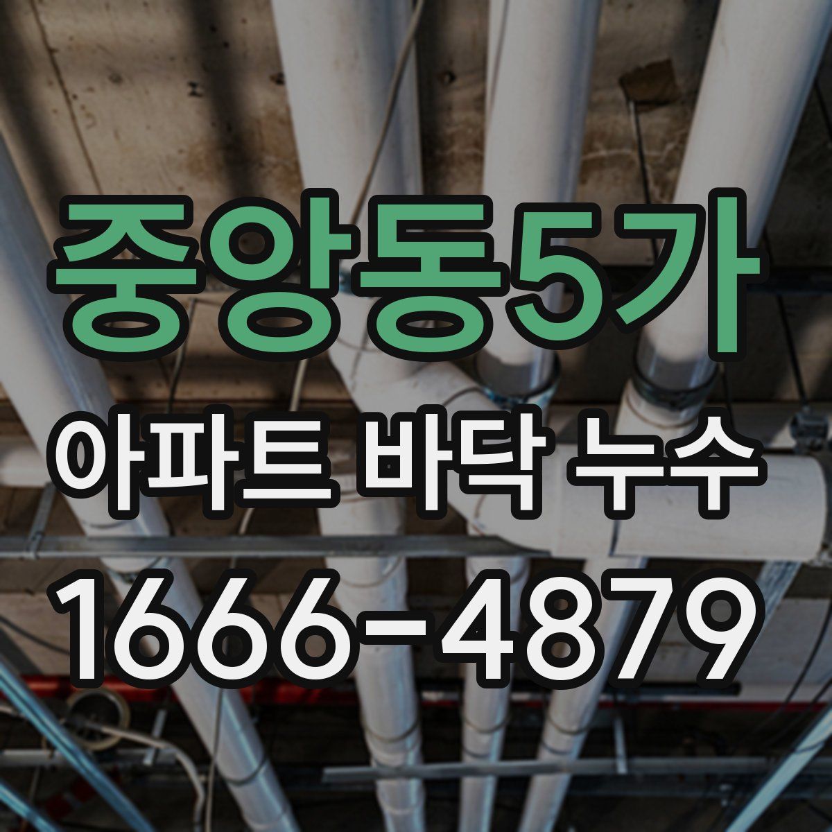중앙동5가 아파트 바닥 누수