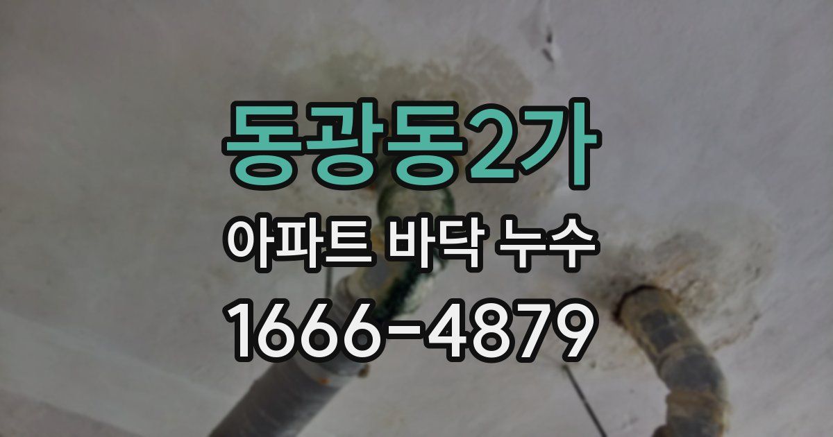 동광동2가 아파트 바닥 누수