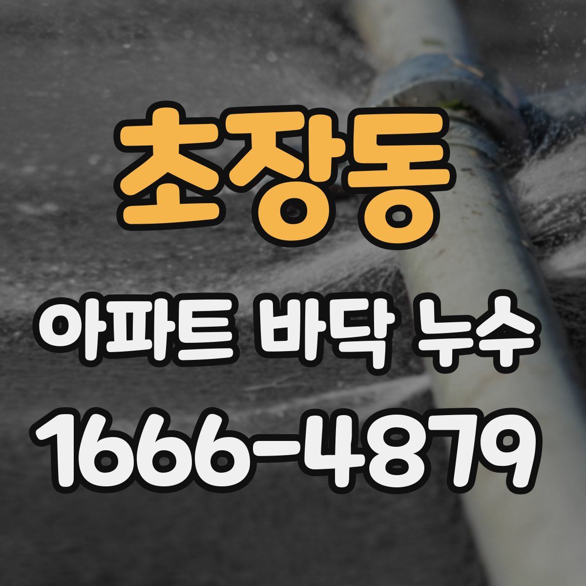 초장동 아파트 바닥 누수