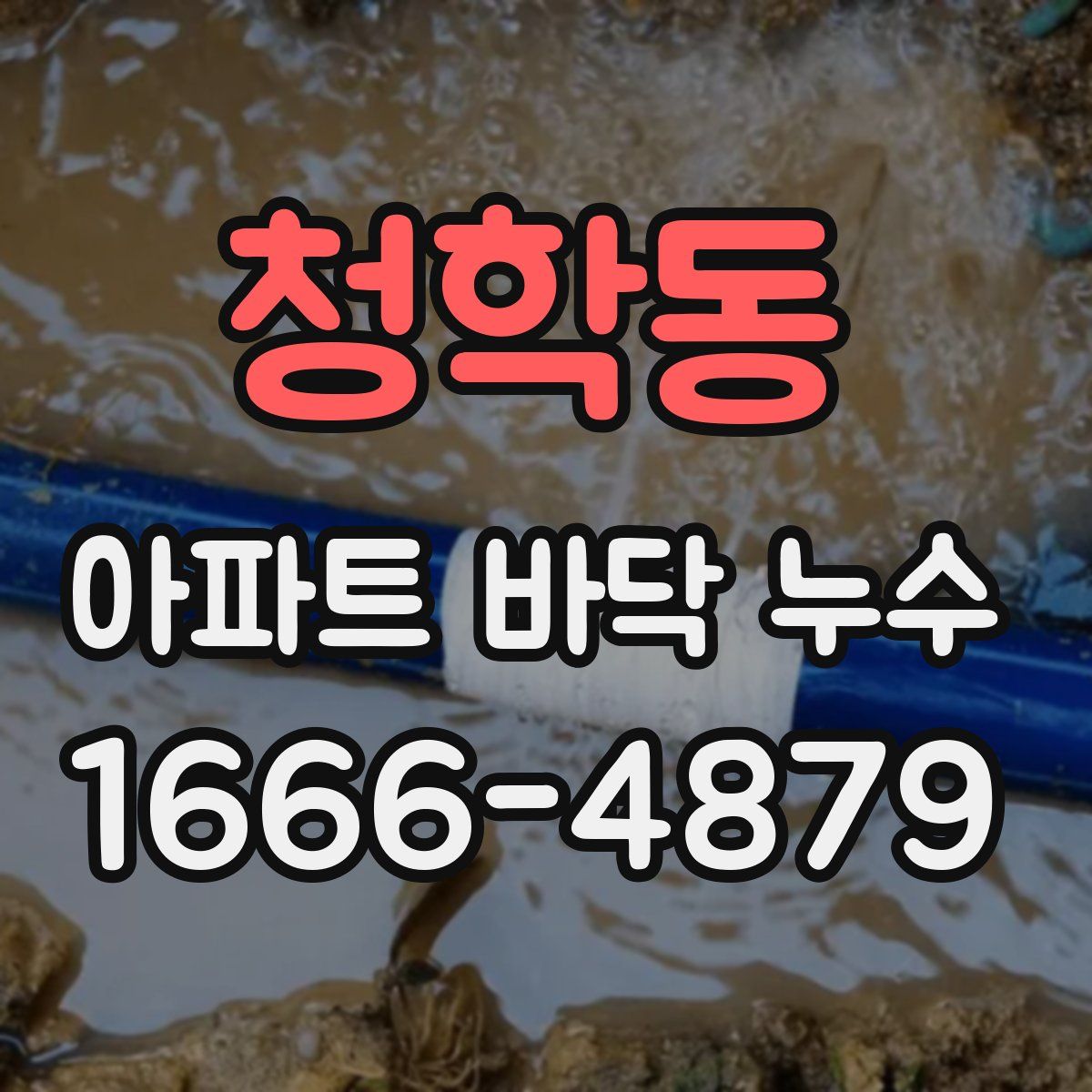 청학동 아파트 바닥 누수
