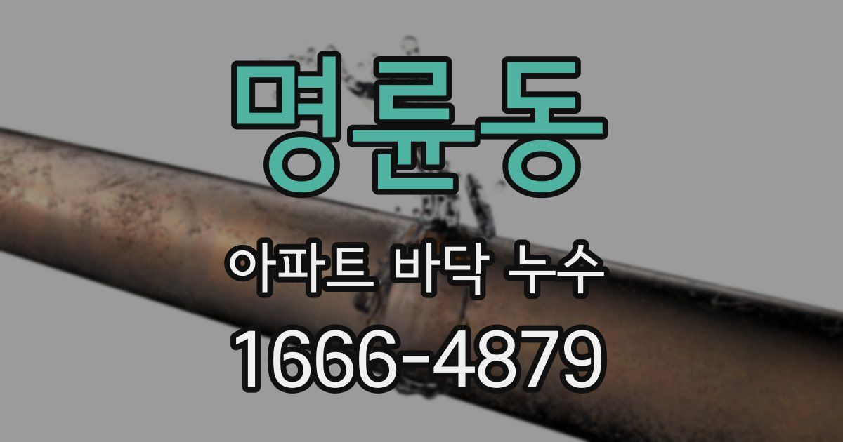 명륜동 아파트 바닥 누수