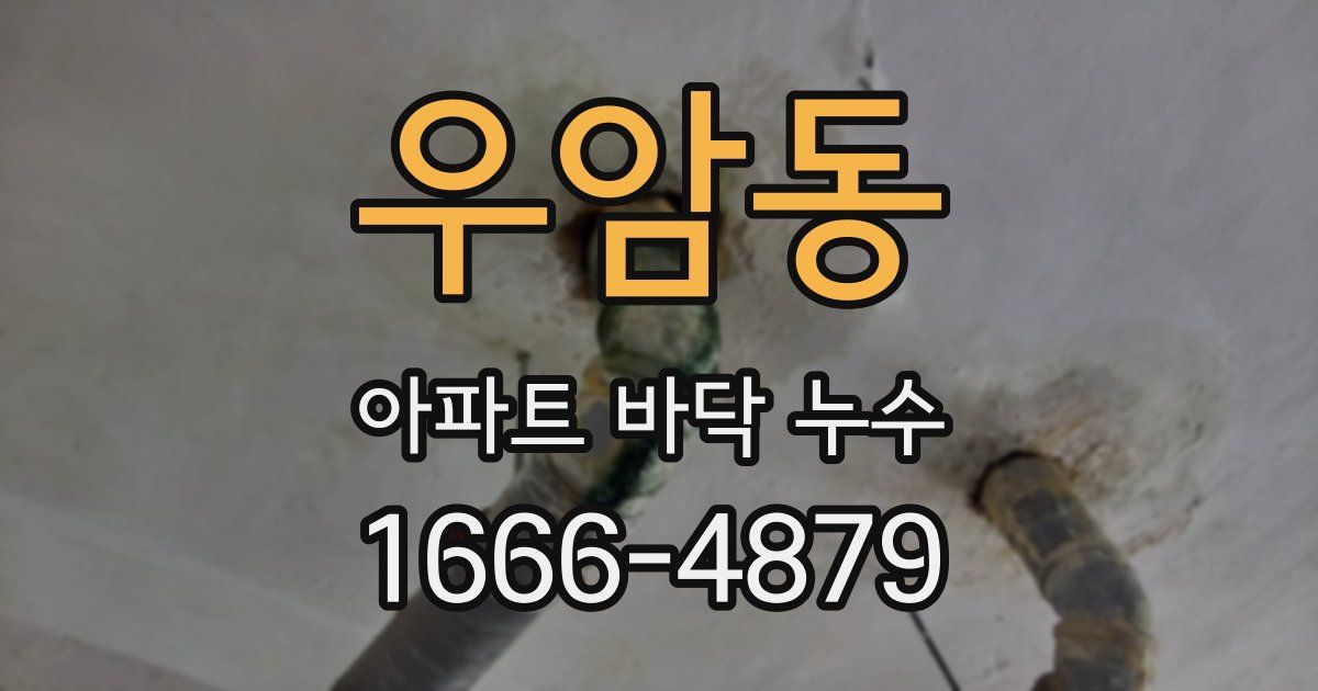 우암동 아파트 바닥 누수