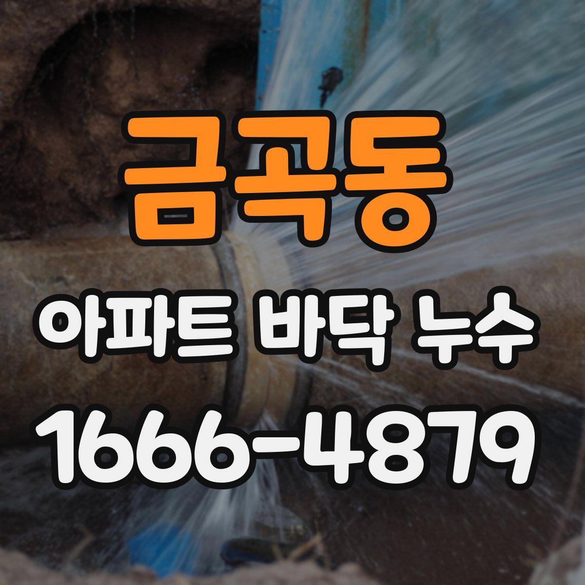 금곡동 아파트 바닥 누수