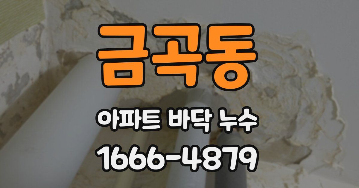 금곡동 아파트 바닥 누수