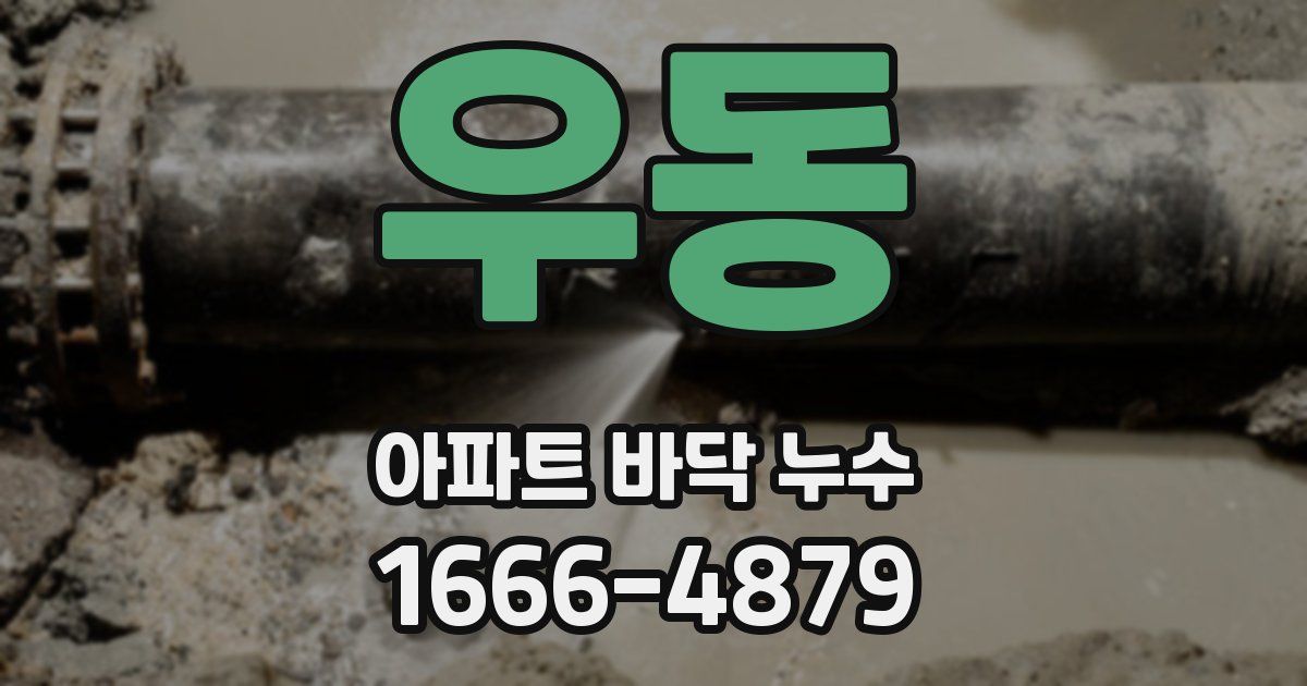 우동 아파트 바닥 누수