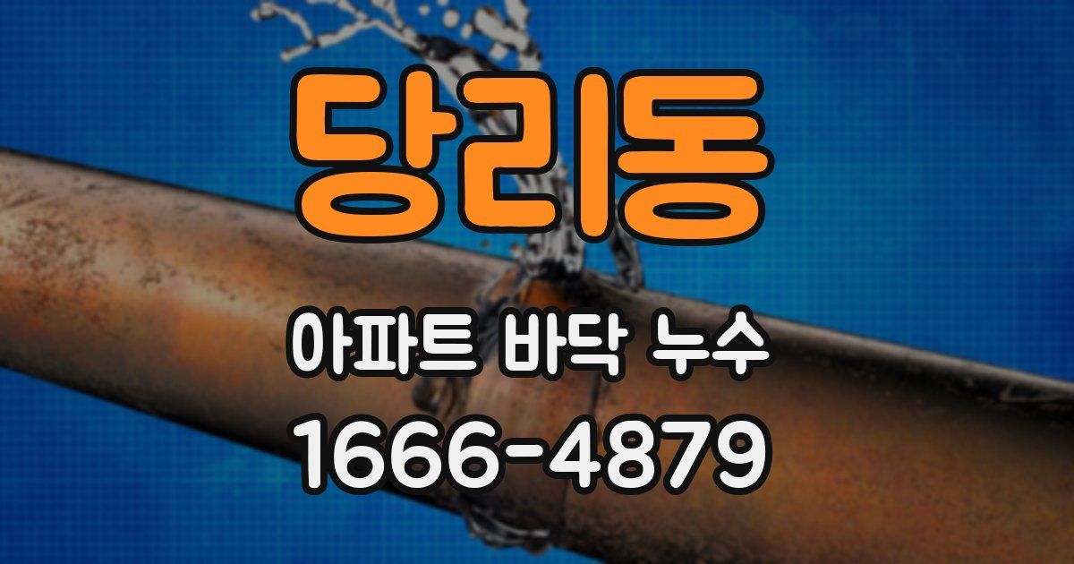 당리동 아파트 바닥 누수
