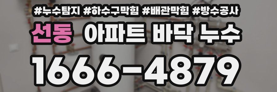 선동 아파트 바닥 누수