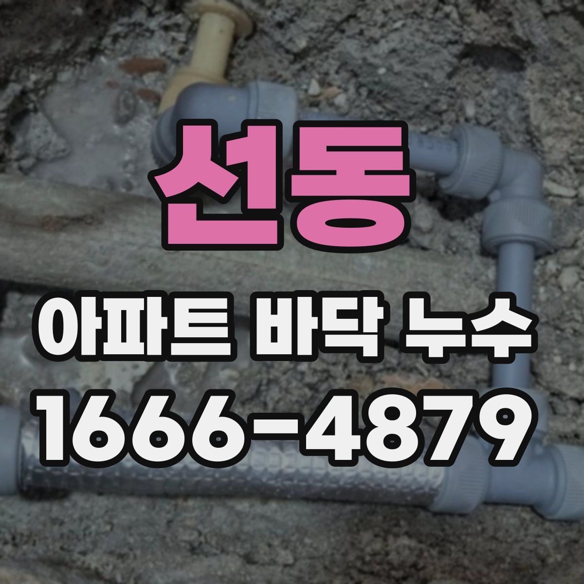 선동 아파트 바닥 누수