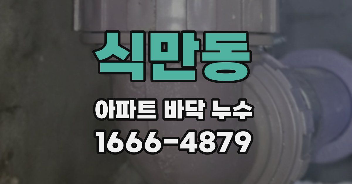 식만동 아파트 바닥 누수