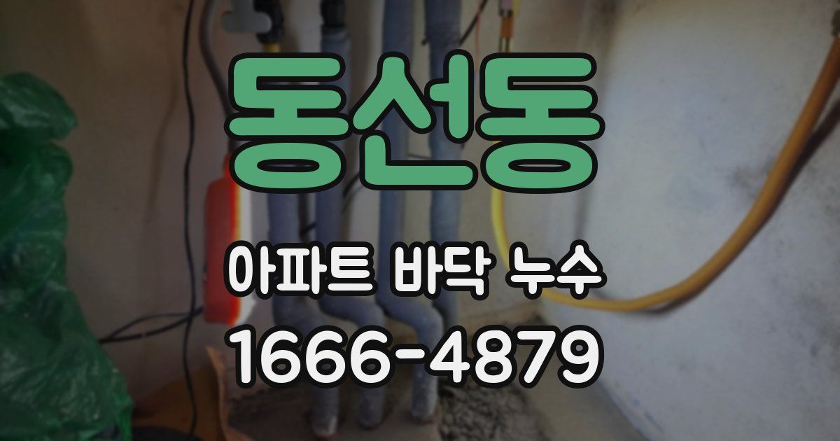 동선동 아파트 바닥 누수