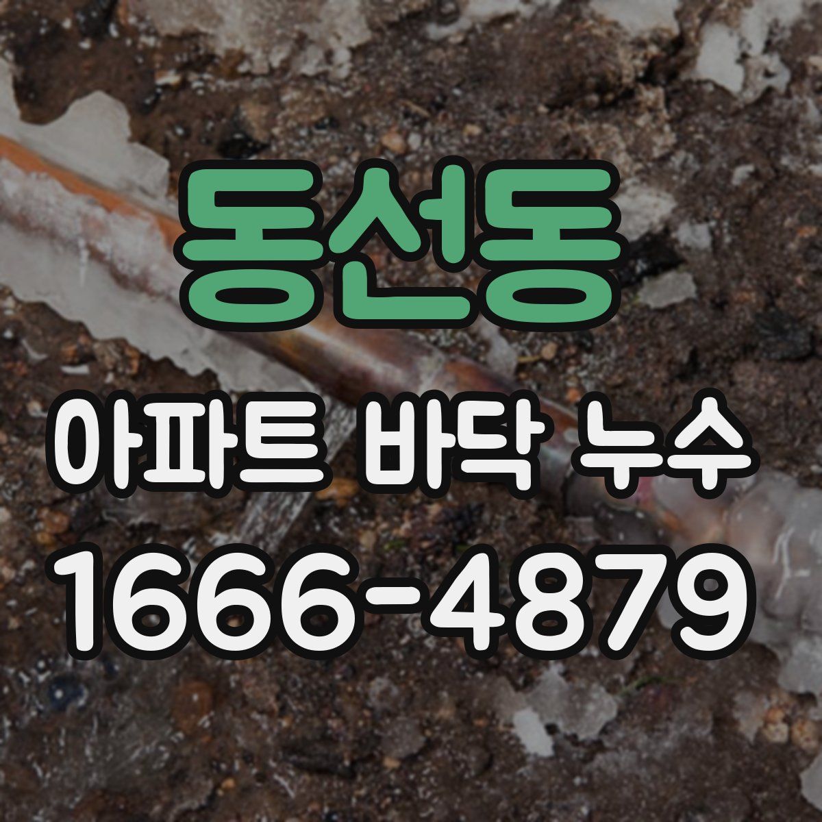 동선동 아파트 바닥 누수