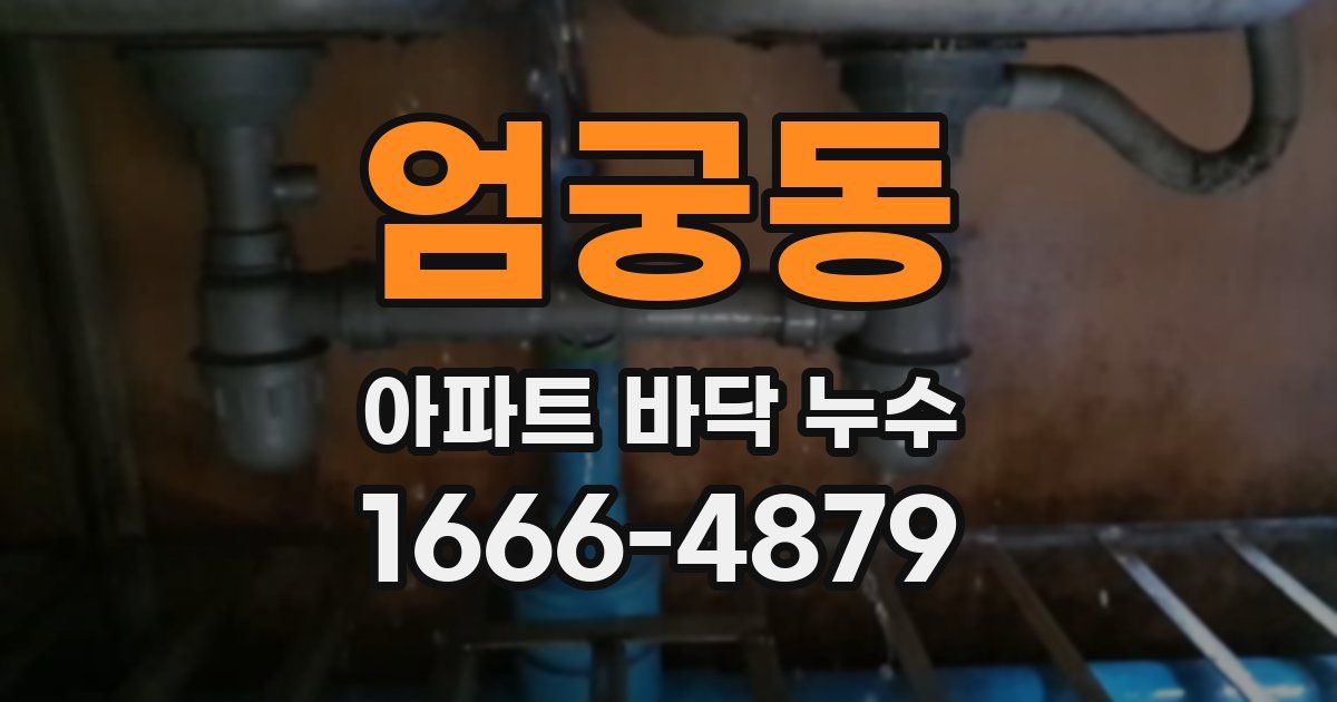 엄궁동 아파트 바닥 누수