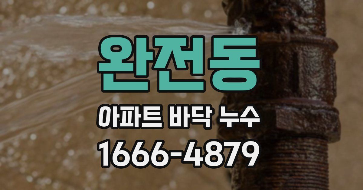 완전동 아파트 바닥 누수