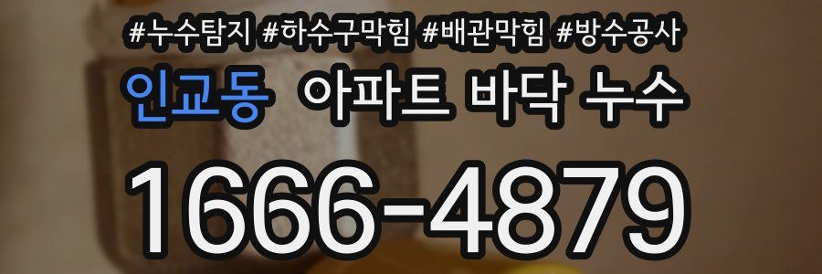 인교동 아파트 바닥 누수