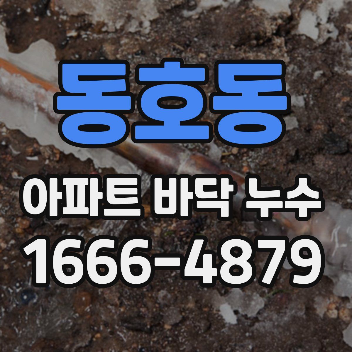 동호동 아파트 바닥 누수