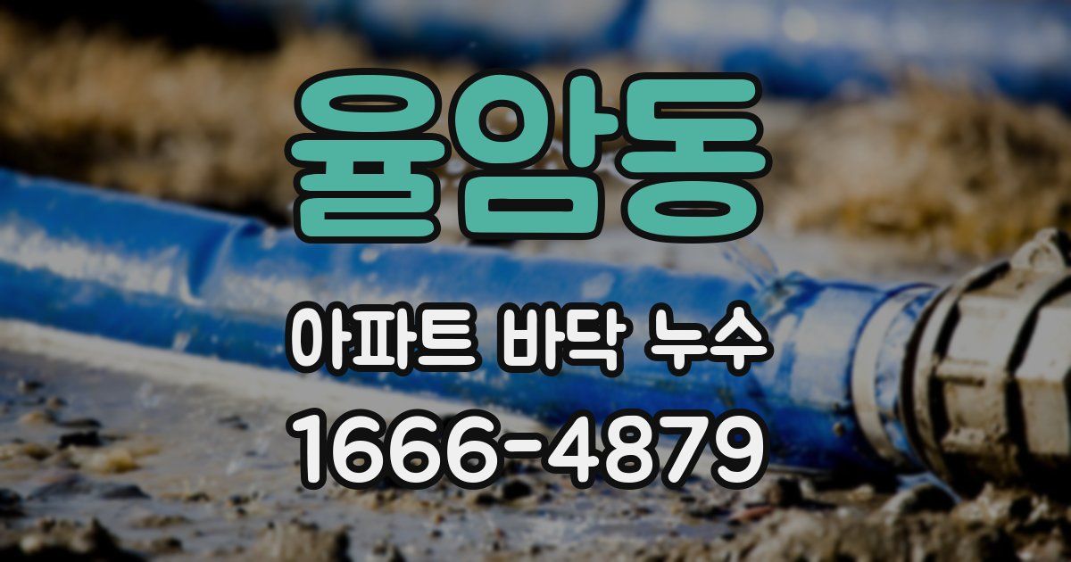 율암동 아파트 바닥 누수