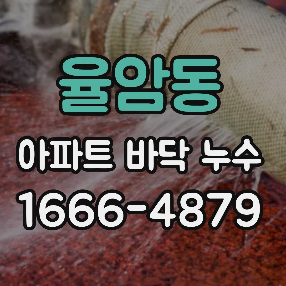 율암동 아파트 바닥 누수
