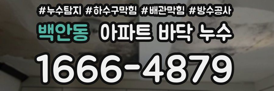 백안동 아파트 바닥 누수
