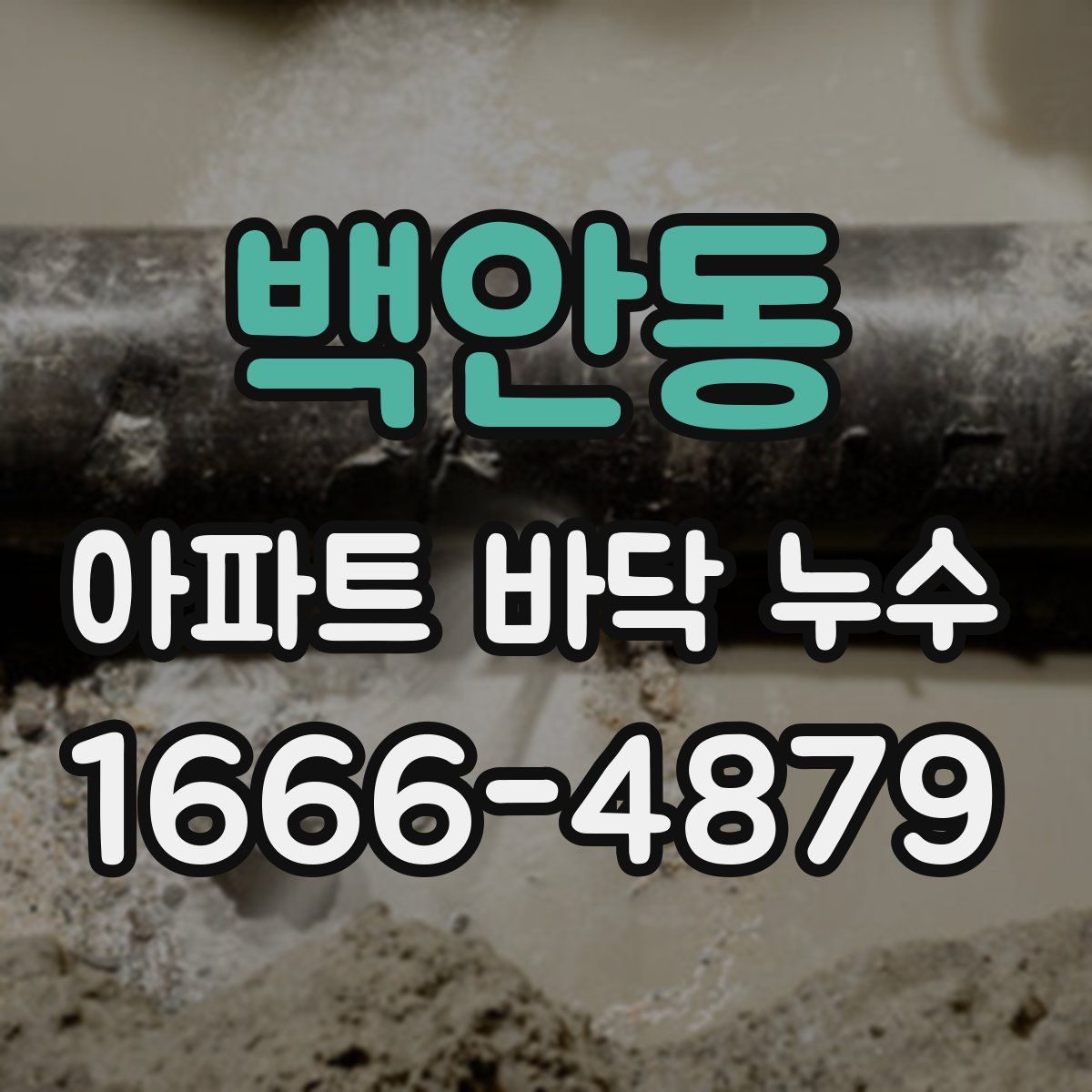 백안동 아파트 바닥 누수