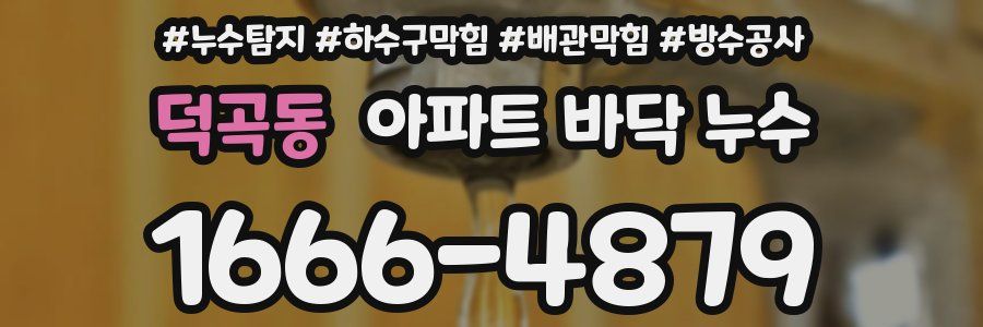 덕곡동 아파트 바닥 누수