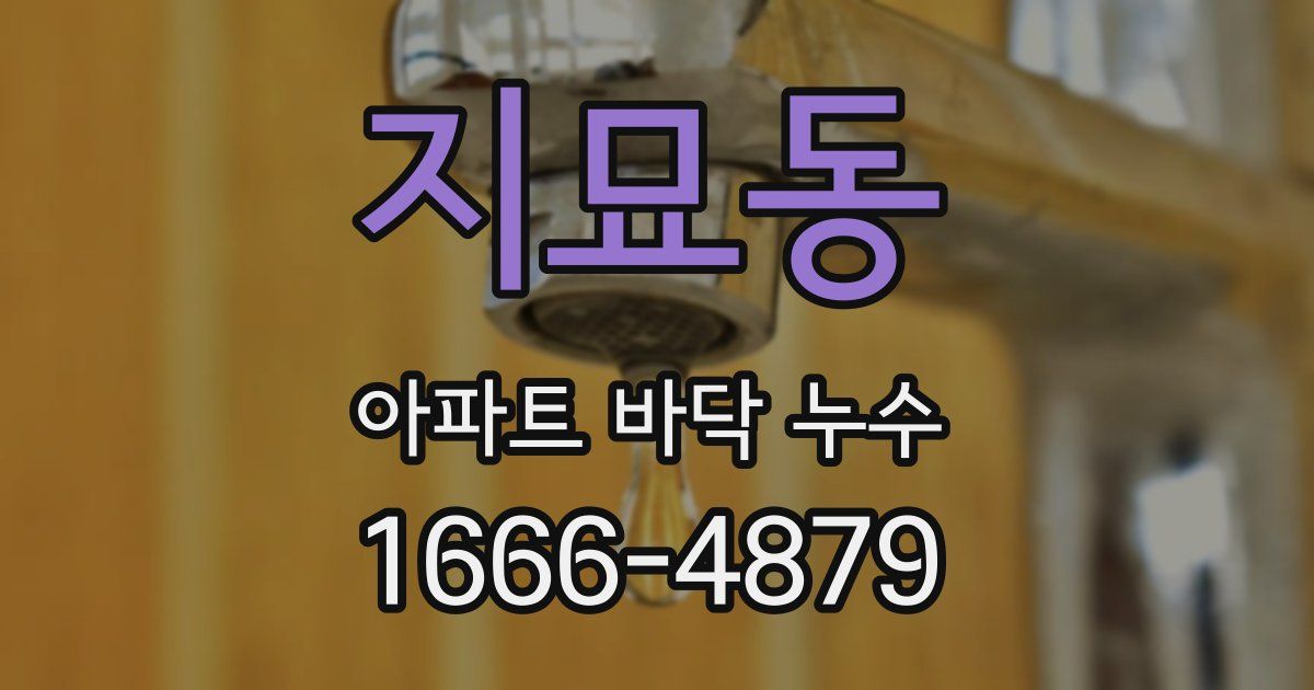지묘동 아파트 바닥 누수
