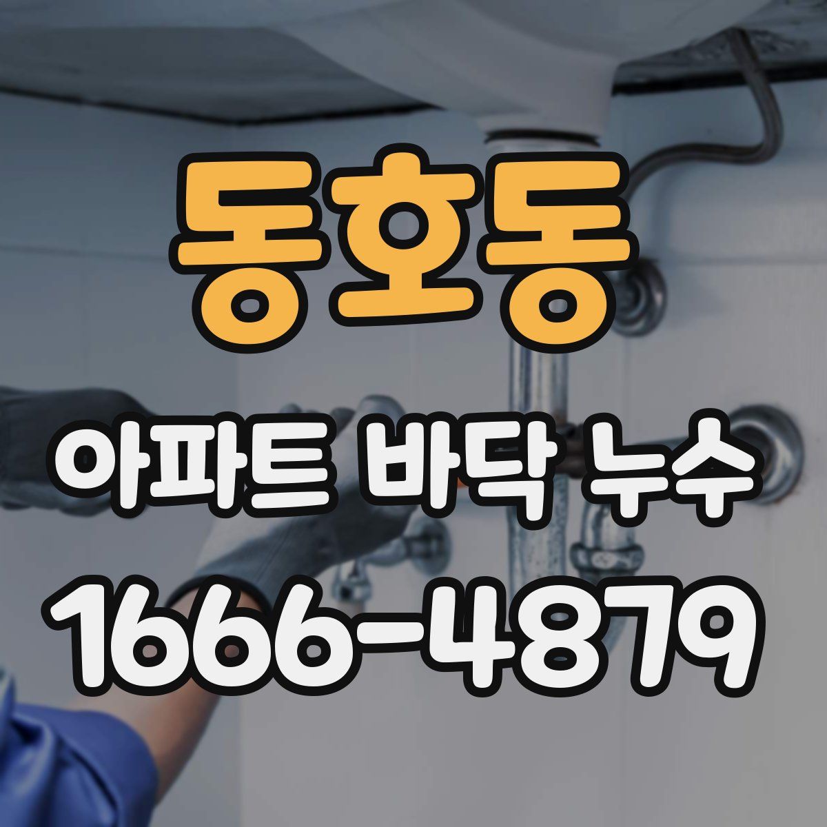 동호동 아파트 바닥 누수
