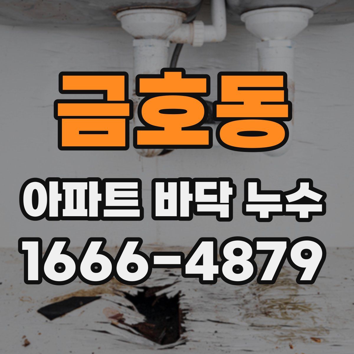 금호동 아파트 바닥 누수